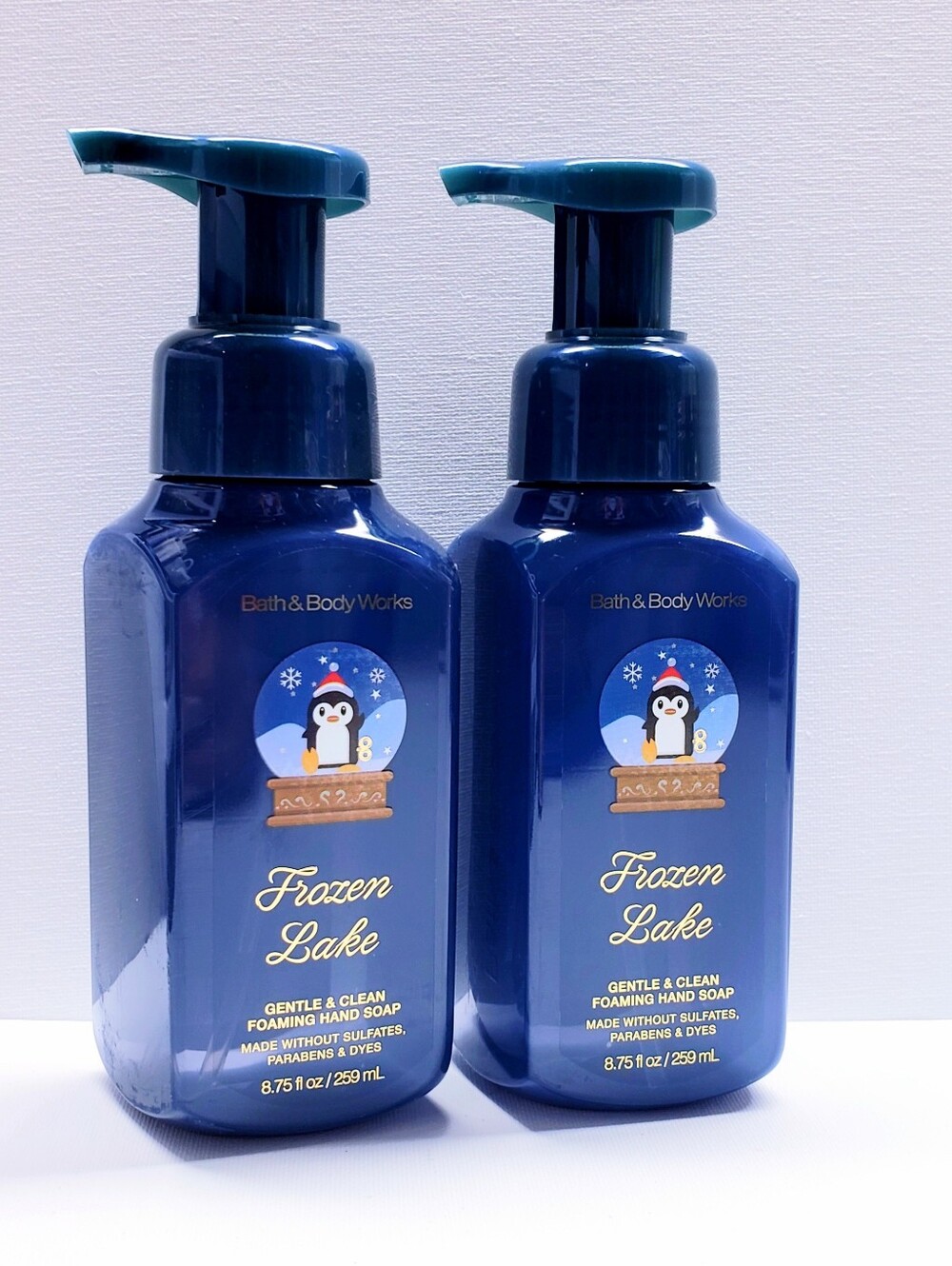 Bath & Body Works FROZEN LAKE Gentle Foaming Hand Soap, 8.75 oz - 2 pcs